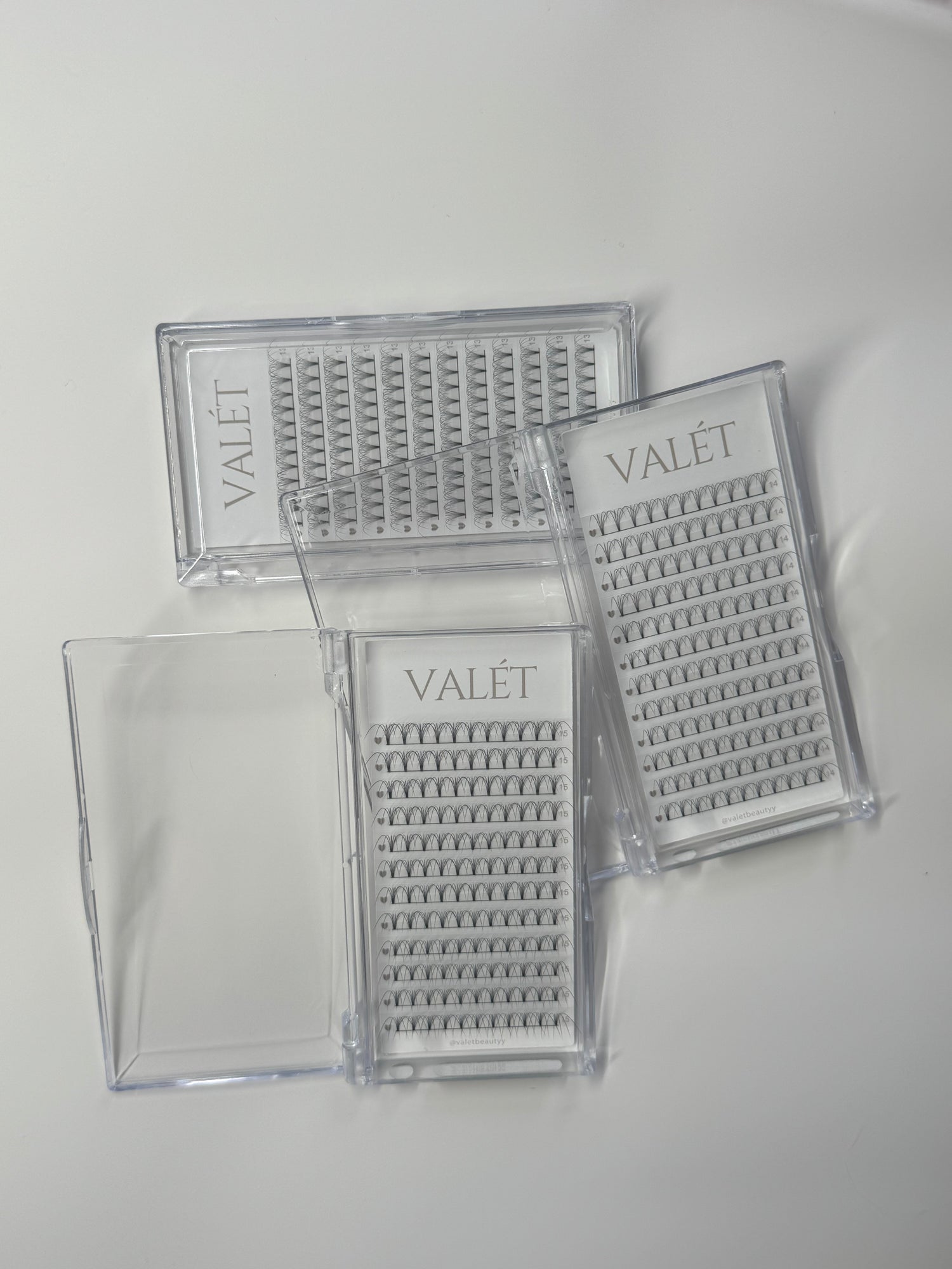 ALL LASH TRAYS